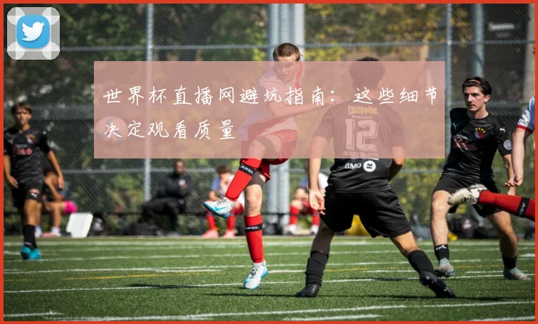 世界杯直播网避坑指南:这些细节决定观看质量