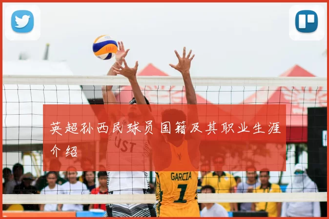 英超孙西民球员国籍及其职业生涯介绍