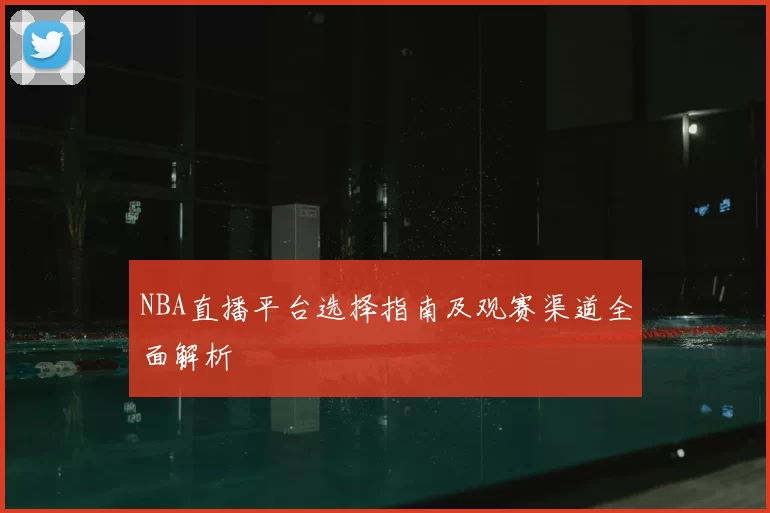 NBA直播平台选择指南及观赛渠道全面解析