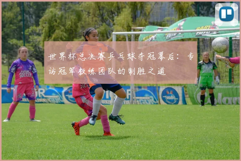 世界杯总决赛乒乓球夺冠幕后:专访冠军教练团队的制胜之道