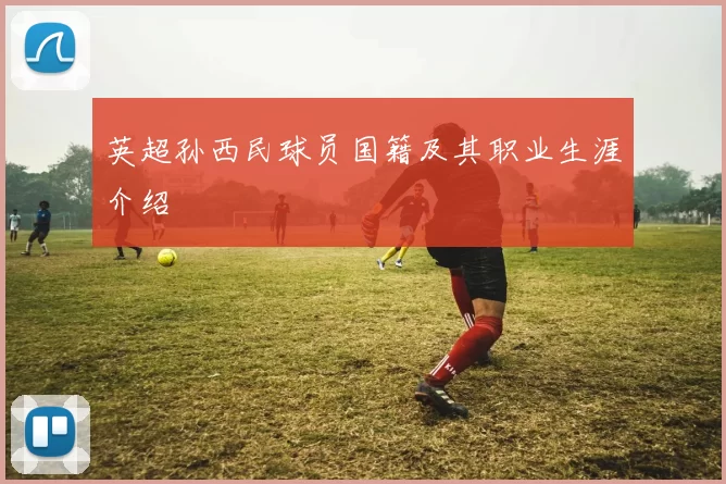 英超孙西民球员国籍及其职业生涯介绍