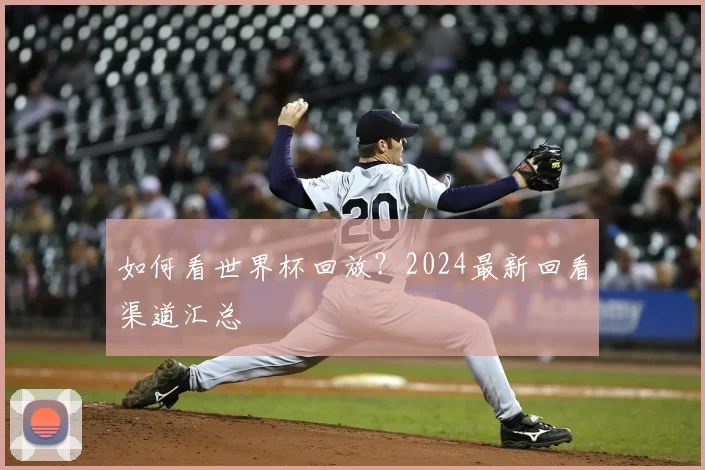 如何看世界杯回放？2024最新回看渠道汇总