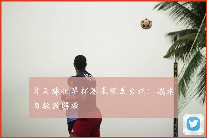 年足球世界杯赛果深度分析：战术与数据解读