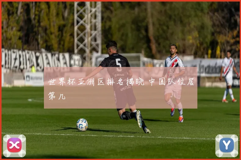 世界杯亚洲区排名揭晓 中国队位居第几