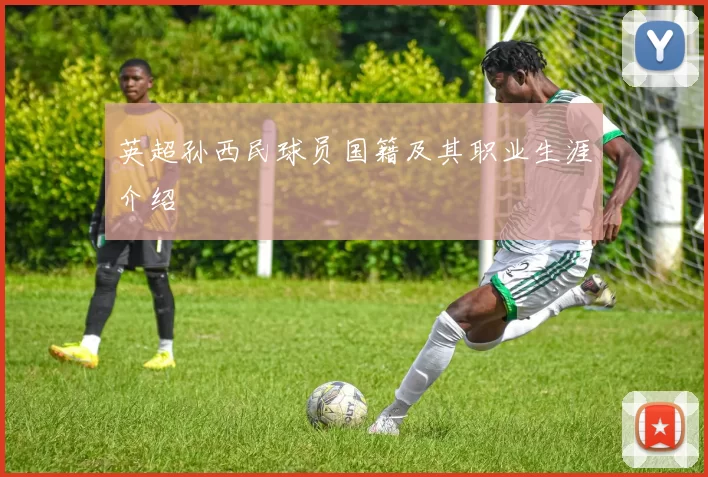 英超孙西民球员国籍及其职业生涯介绍