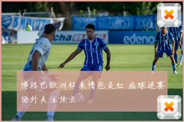 博格巴欧洲杯表情包走红 成球迷赛场外关注焦点