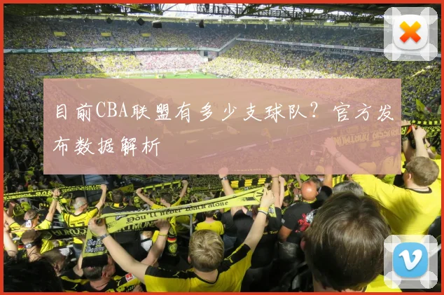 目前CBA联盟有多少支球队?官方发布数据解析