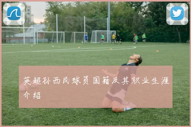 英超孙西民球员国籍及其职业生涯介绍